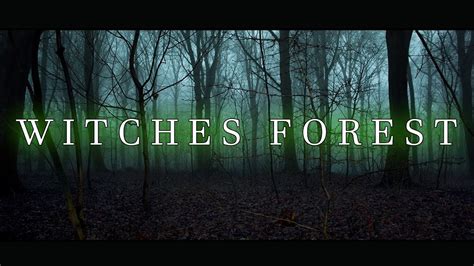 Enchanted tunes of the forest witch